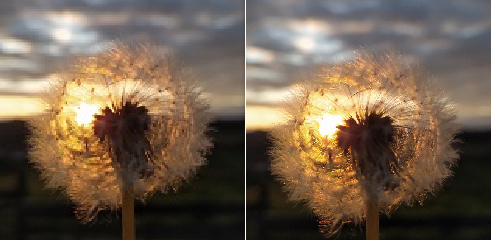 Easy Way to Make a Low Quality Picture Look Better?