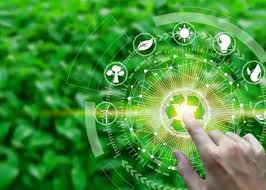 Exploring the Role of Technology in Sustainable Development