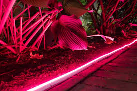 The Best Smart Lights for Outdoor Parties