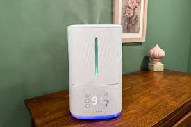 Top Reasons Why You Should Get a Smart Humidifier