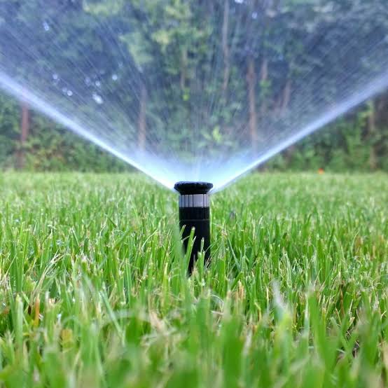 The Best Smart Sprinklers for Your Lawn