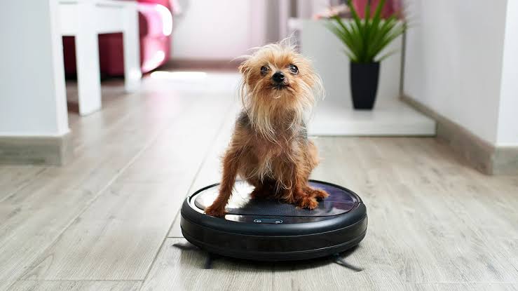 The Best Robot Vacuums for Pet Owners in 2025