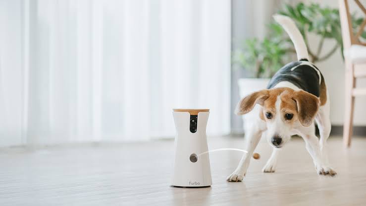 The Best Smart Pet Cameras for 2025